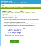CaringBridge's inappropriate ad