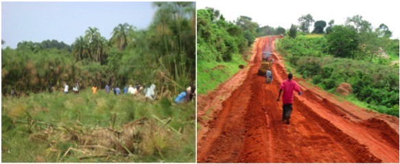 Community Members Built a Road Connecting 2 Towns